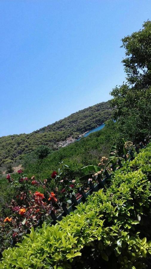 Hotel Marialena Epidaurus Exterior photo